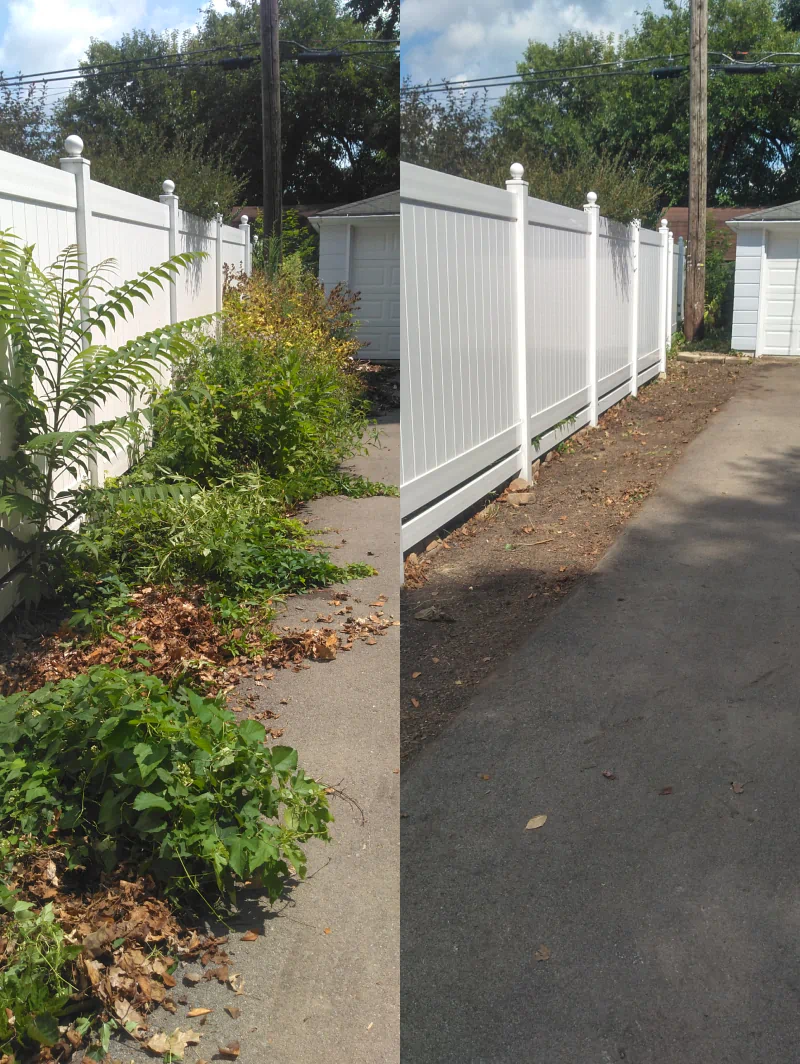 landscape cleanup before and after