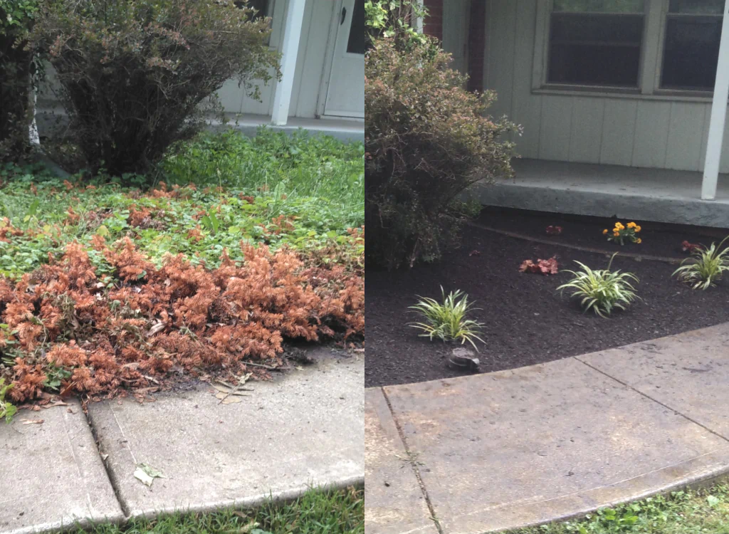 weed removal outside of a house